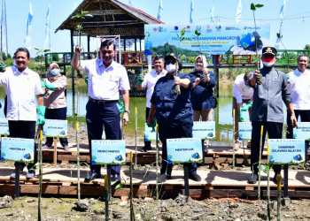 Program Prioritas Gubernur, DKP Sulsel Telah Tanam 1,7 Juta Batang Mangrove