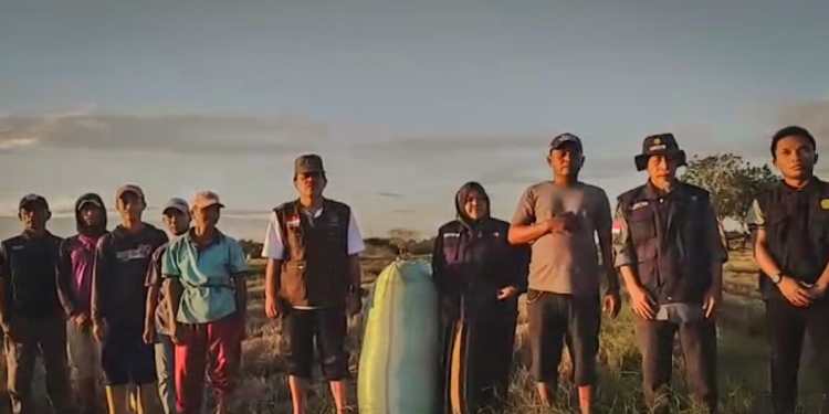 Program Mandiri Benih Tahun 2022 di Kabupaten Wajo juga berhasil, salah satunya di Desa Ujung Tanah, Kecamatan Bola, Kabupaten Wajo.