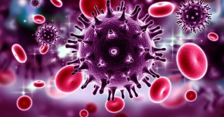 Ilustrasi Virus. (Int)